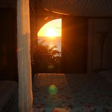 Hostel House 84 Itajaí エクステリア 写真