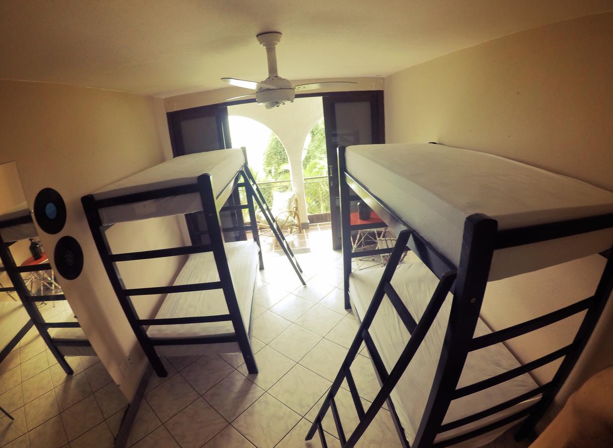 Hostel House 84 Itajaí エクステリア 写真